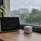 雨窗旁的桌上顯示裝置與盆栽，AI 生成情境示意