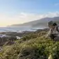 海岸丘陵自然環境踏查情境，研究者在草地觀察風與場址